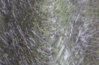 Ullington fibreglass roof work